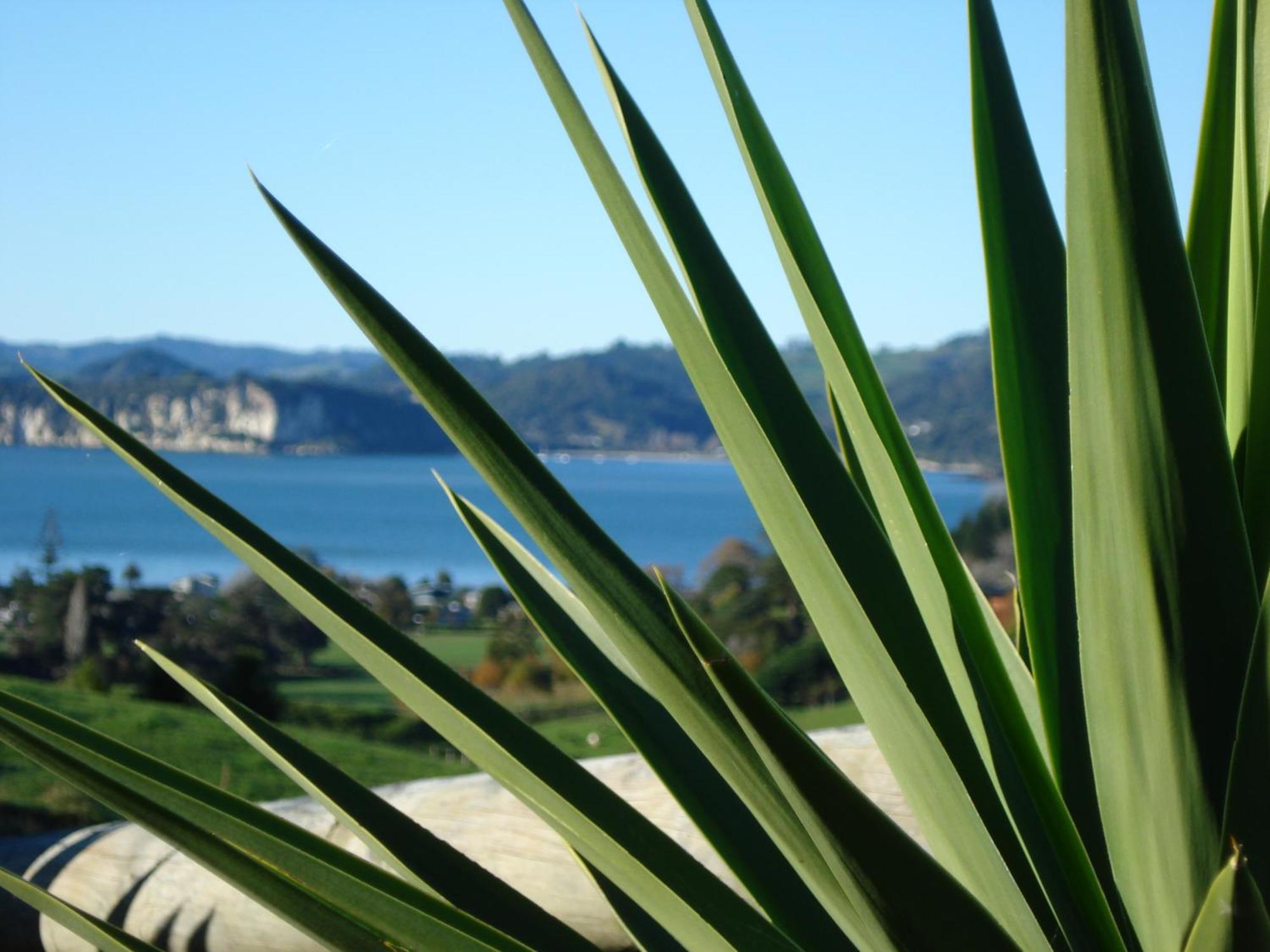 Ohuka Place Homestay Whitianga Exterior photo